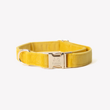 'Yellow' - Velvet Dog Collar - FURLOU