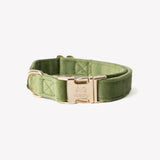 'Green' - Velvet Dog Collar - FURLOU