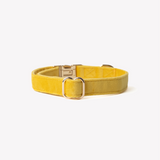 'Yellow' - Velvet Dog Collar - FURLOU