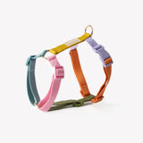 Rainbow - Dog Harness - FURLOU