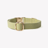 'Green' - Canvas Dog Collar