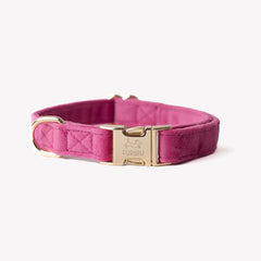 'Magenta' - Velvet Dog Collar - FURLOU 