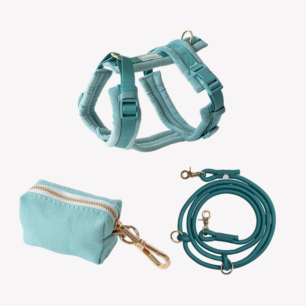 Blue Harness Set - FURLOU 