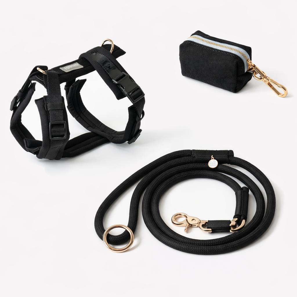 Black Comfort Harness Set - FURLOU 