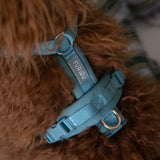 Blue - Comfort Dog Harness