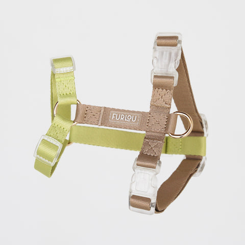 Lime Green and Tan - Dog Harness