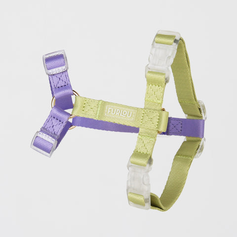 Lavender and Lime Green - Dog Harness
