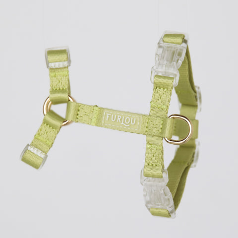 Lime Green - Dog Harness