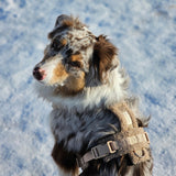 'Sand' - Sherpa Dog Harness - FURLOU 