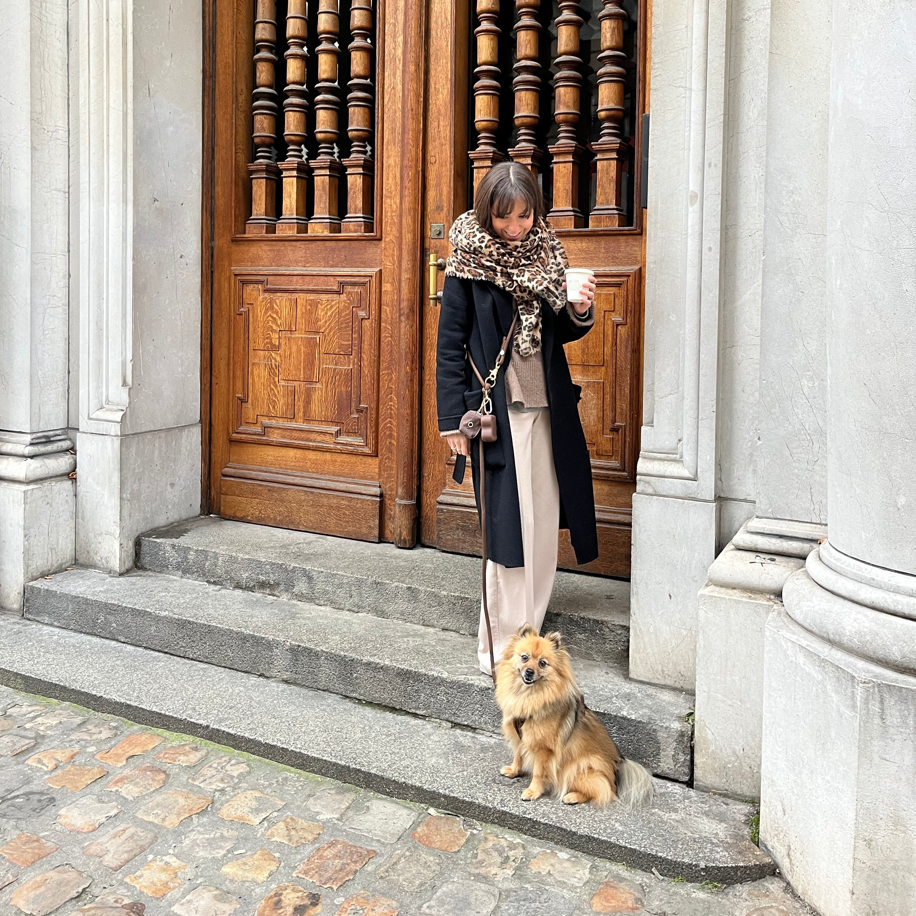 'Moss Green' - Hands Free Braided Leash - FURLOU 
