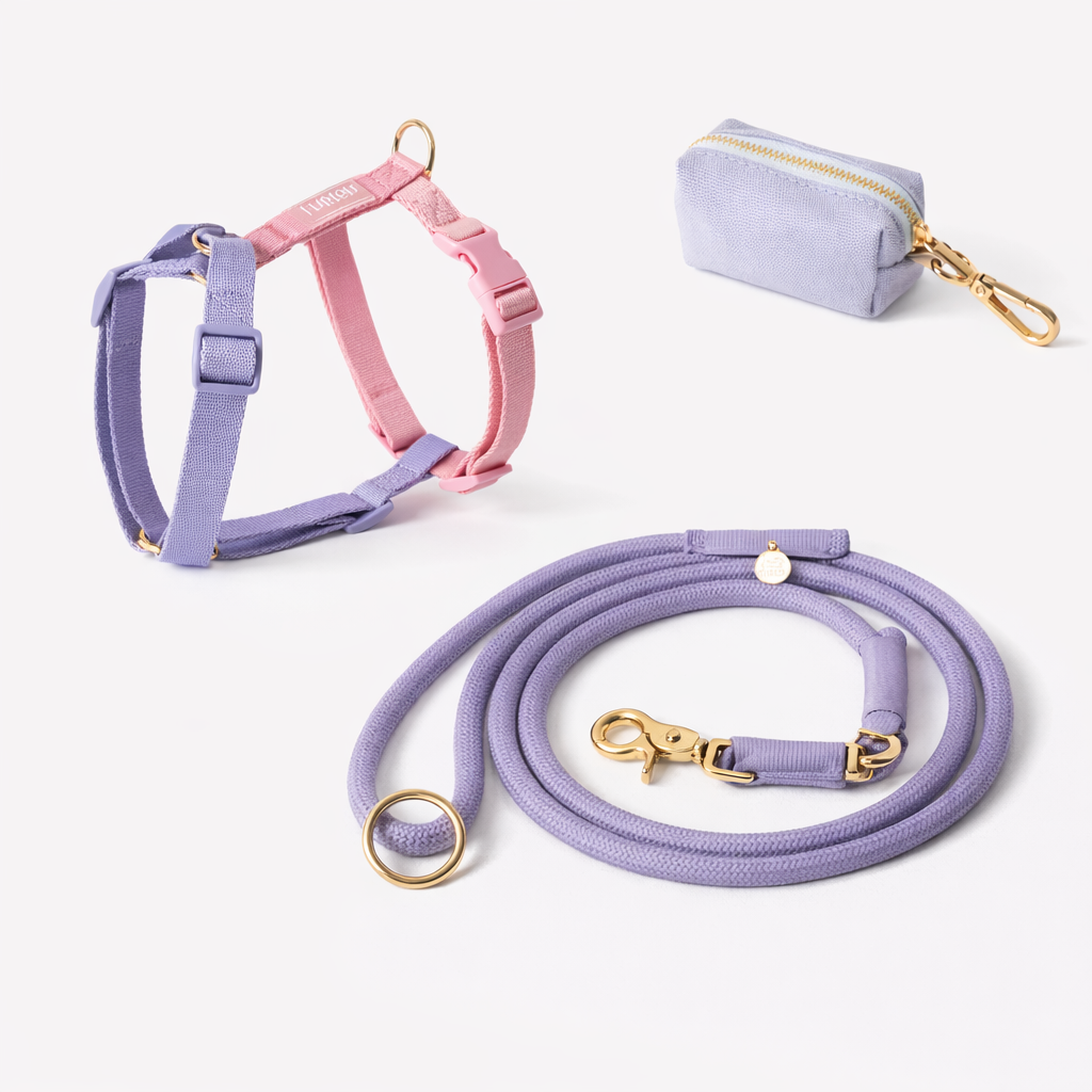 Lavender Harness Set - FURLOU 