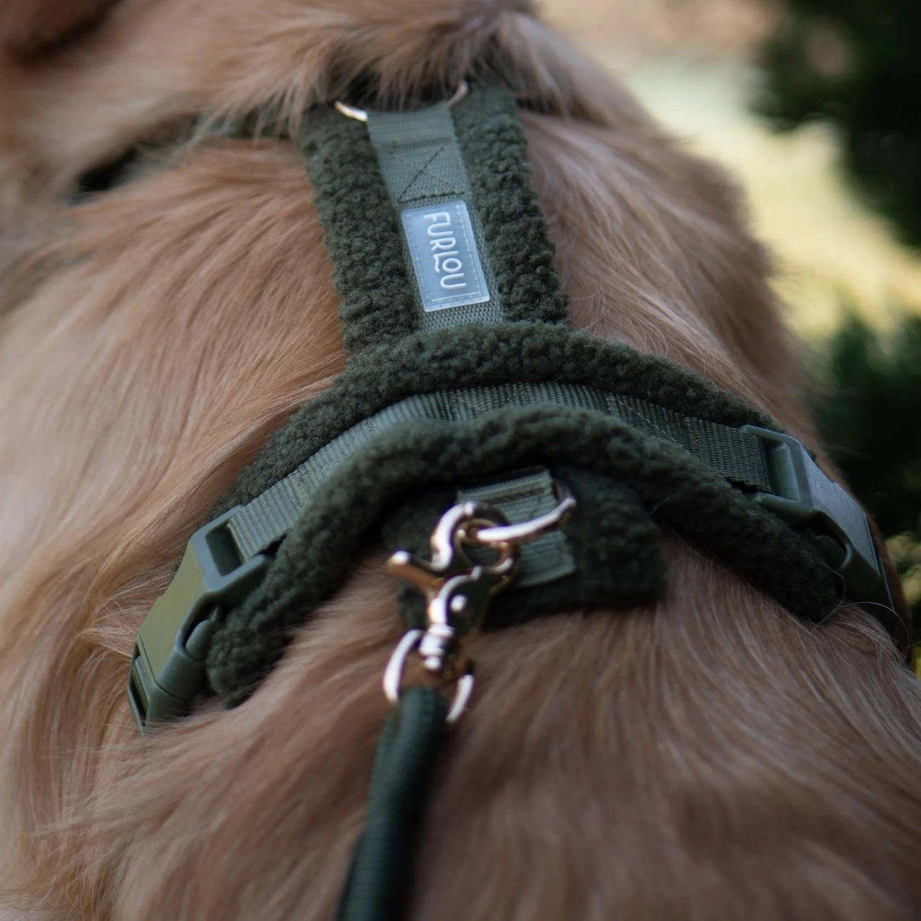 'Moss Green' - Sherpa Dog Harness - FURLOU 