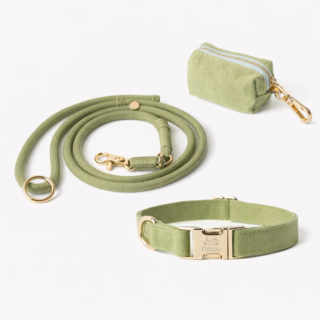 Green Collar Set - FURLOU 
