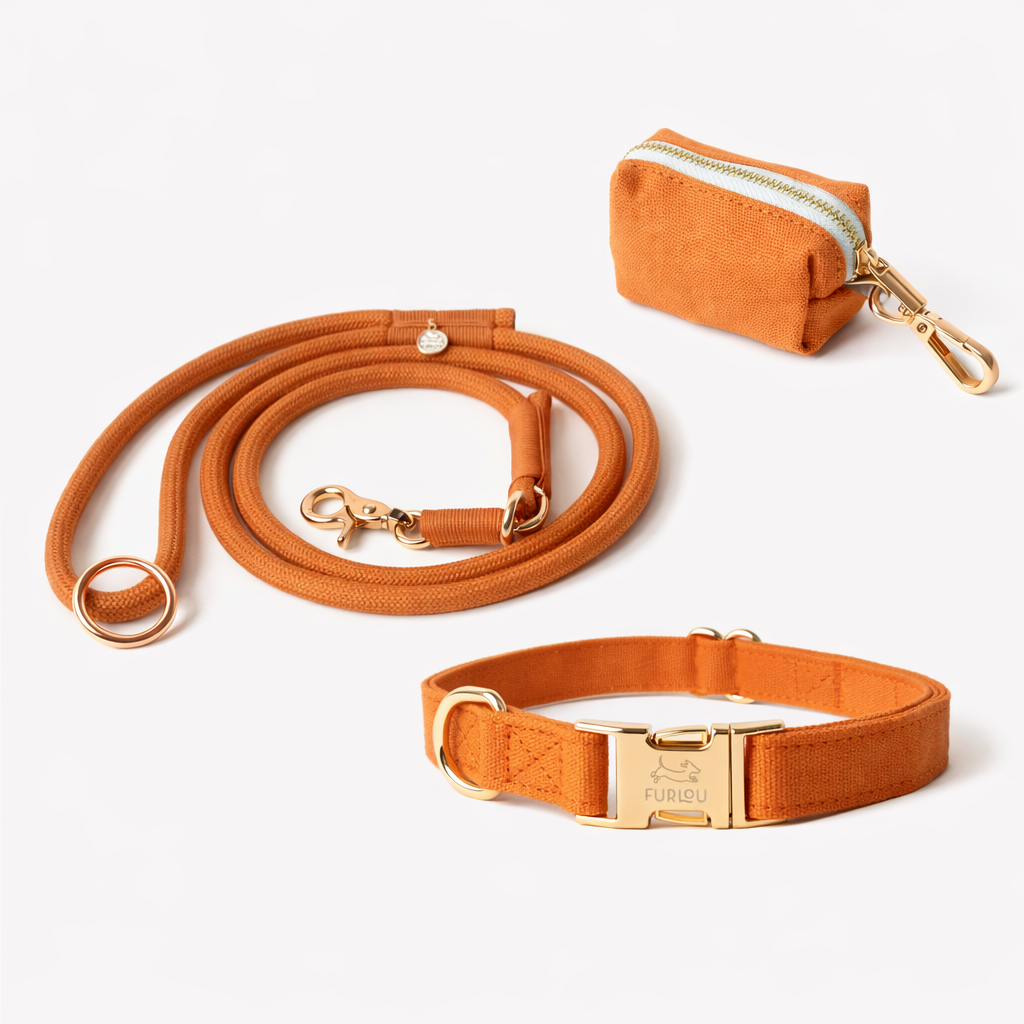 Terracotta Collar Set - FURLOU 