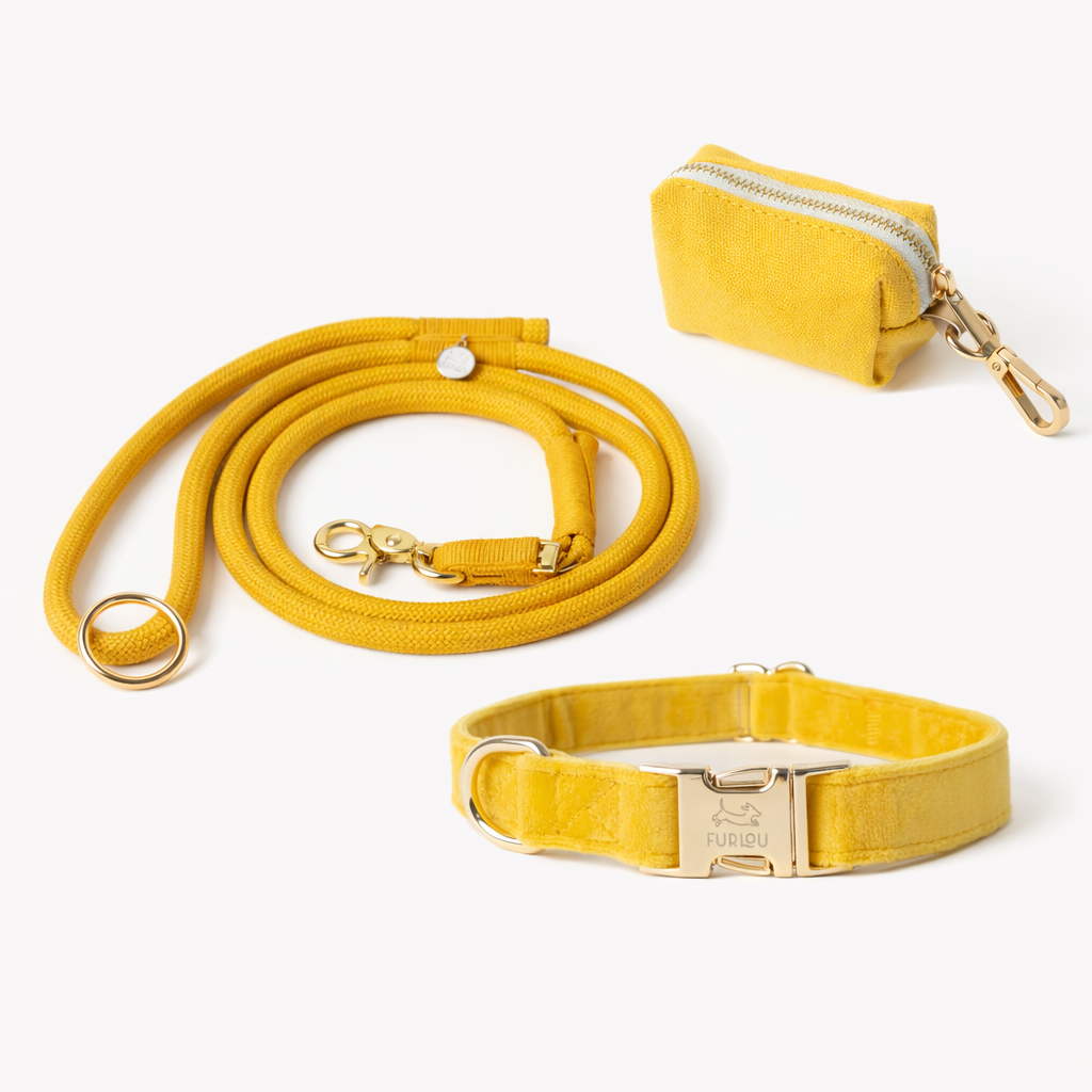 Yellow Collar Set - FURLOU 
