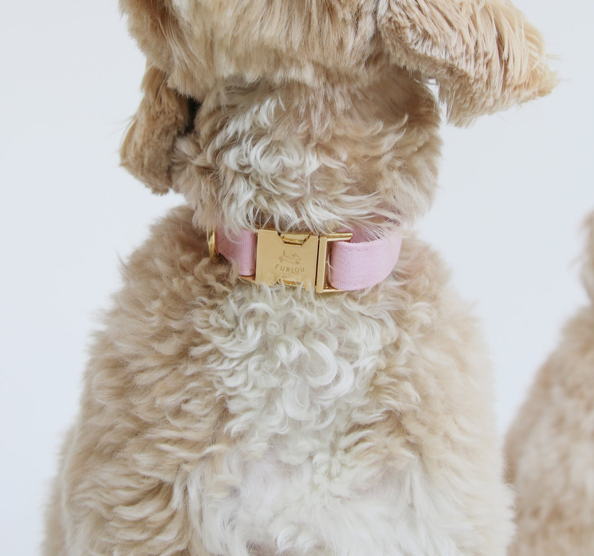 'Pastel Pink' - Dog Collar - FURLOU 
