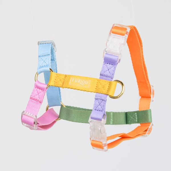 Chewy Rainbow Cute Dog Harness And Leash Set