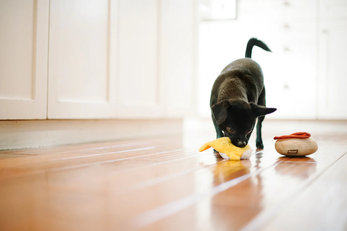 Eggs Benedict - Dog Toy