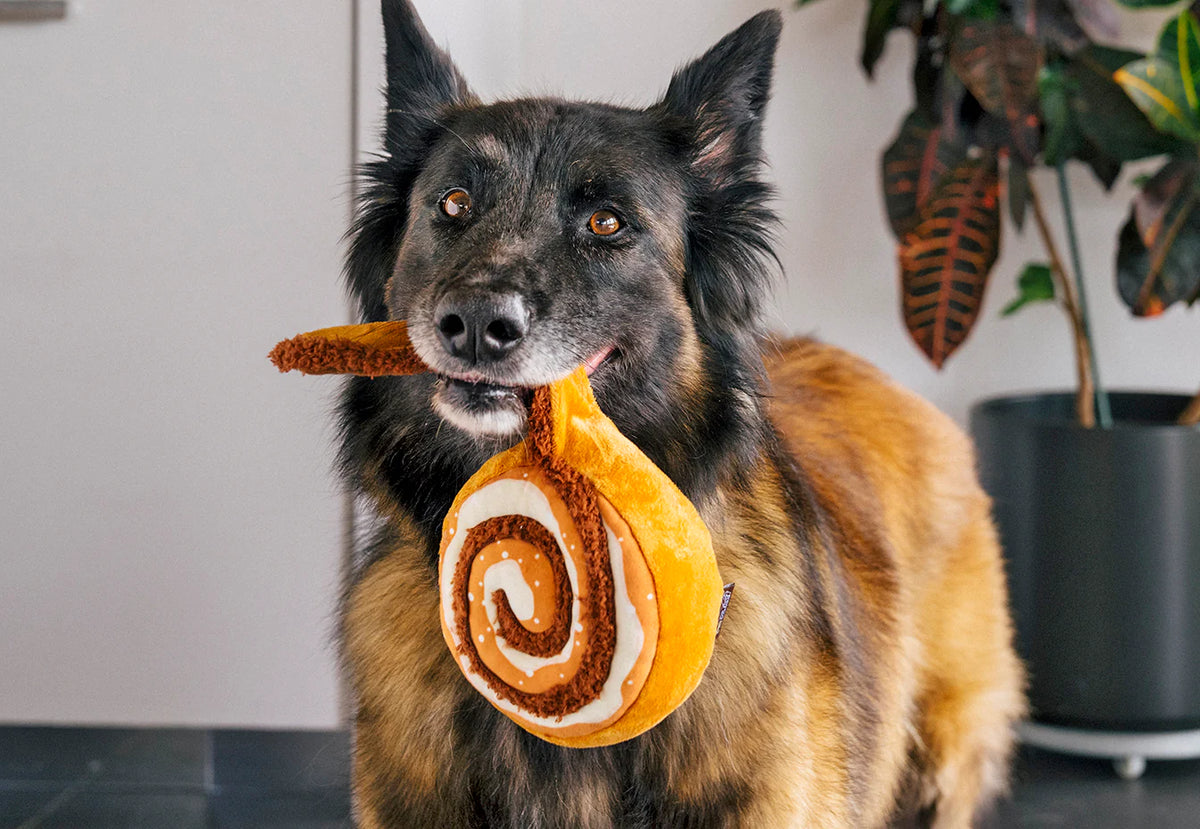 Cinnamon Roll - Dog Toy